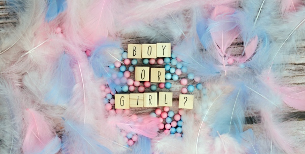 gender reveal