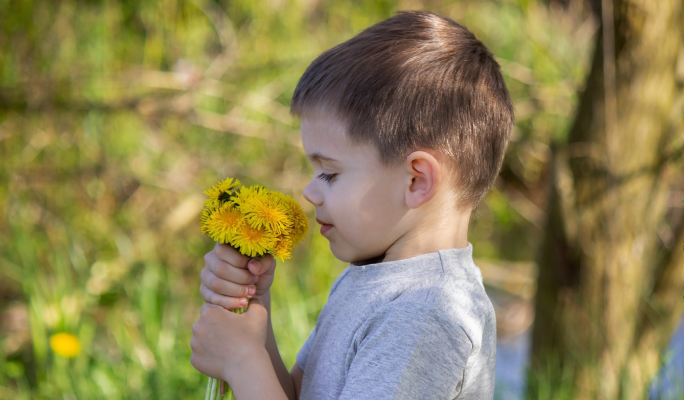 jongen natuur