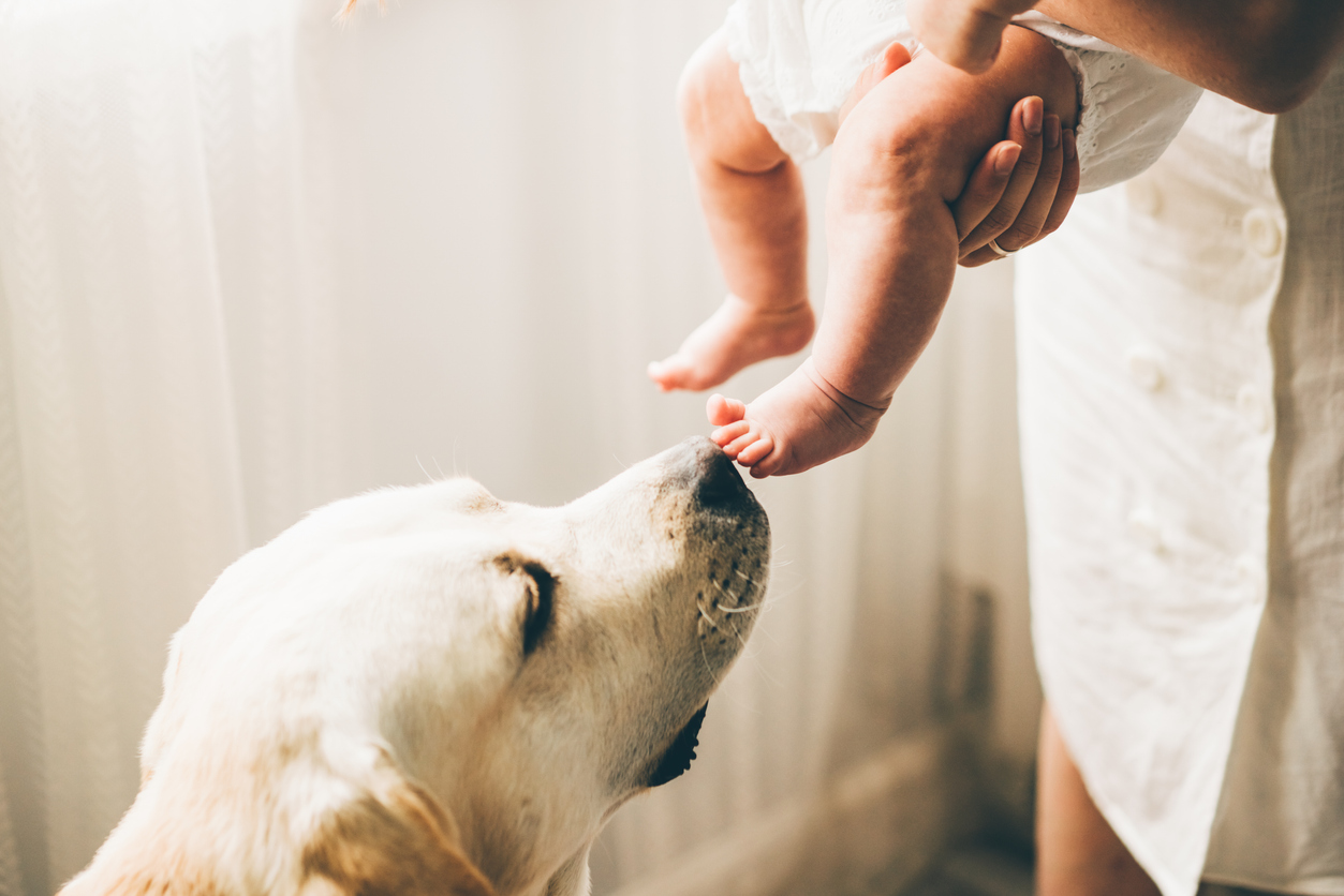 Hond en baby