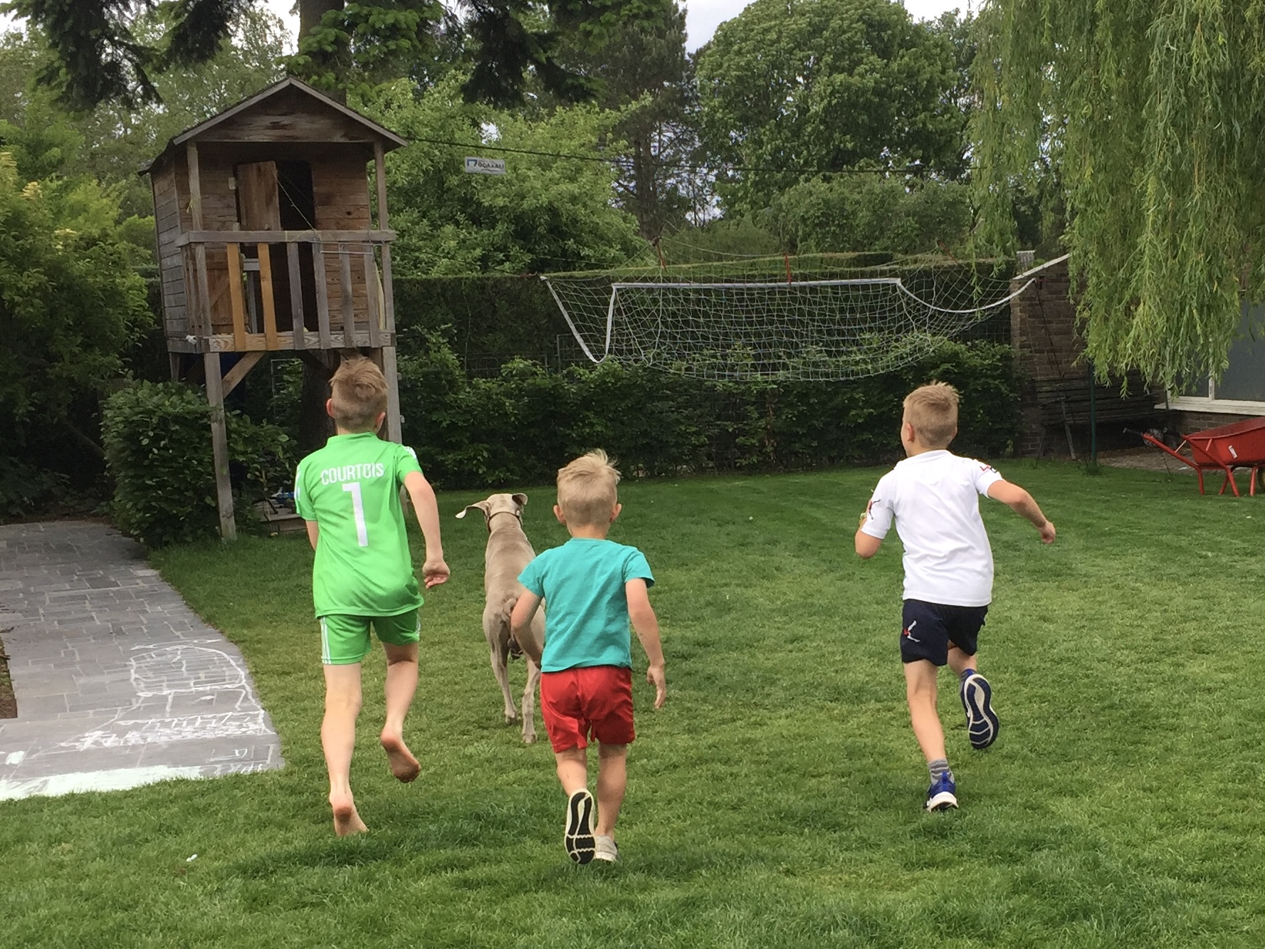 3 jongens en hond lopen in de tuin