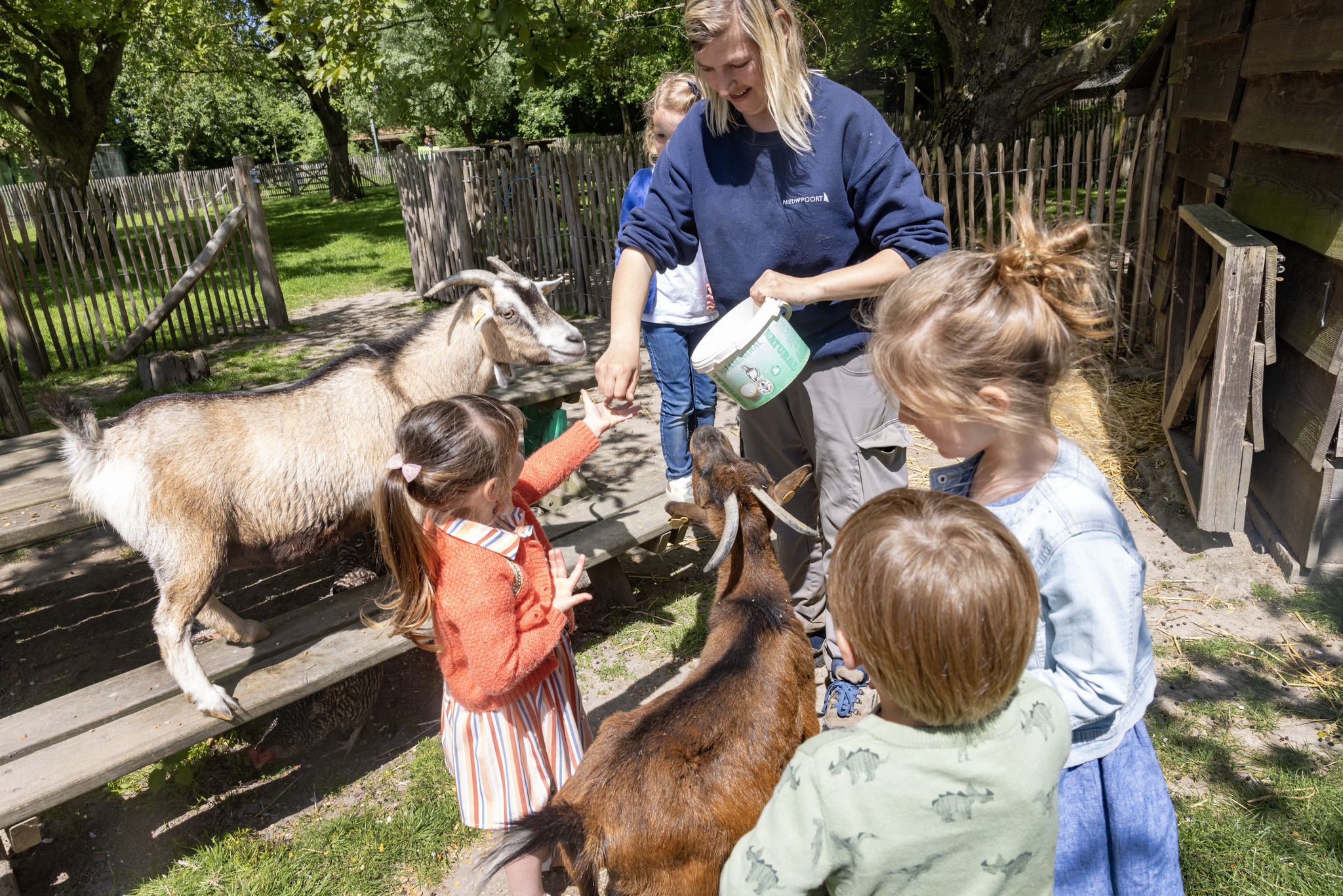 Kinderboerderij De Lenspolder, Nieuwpoort