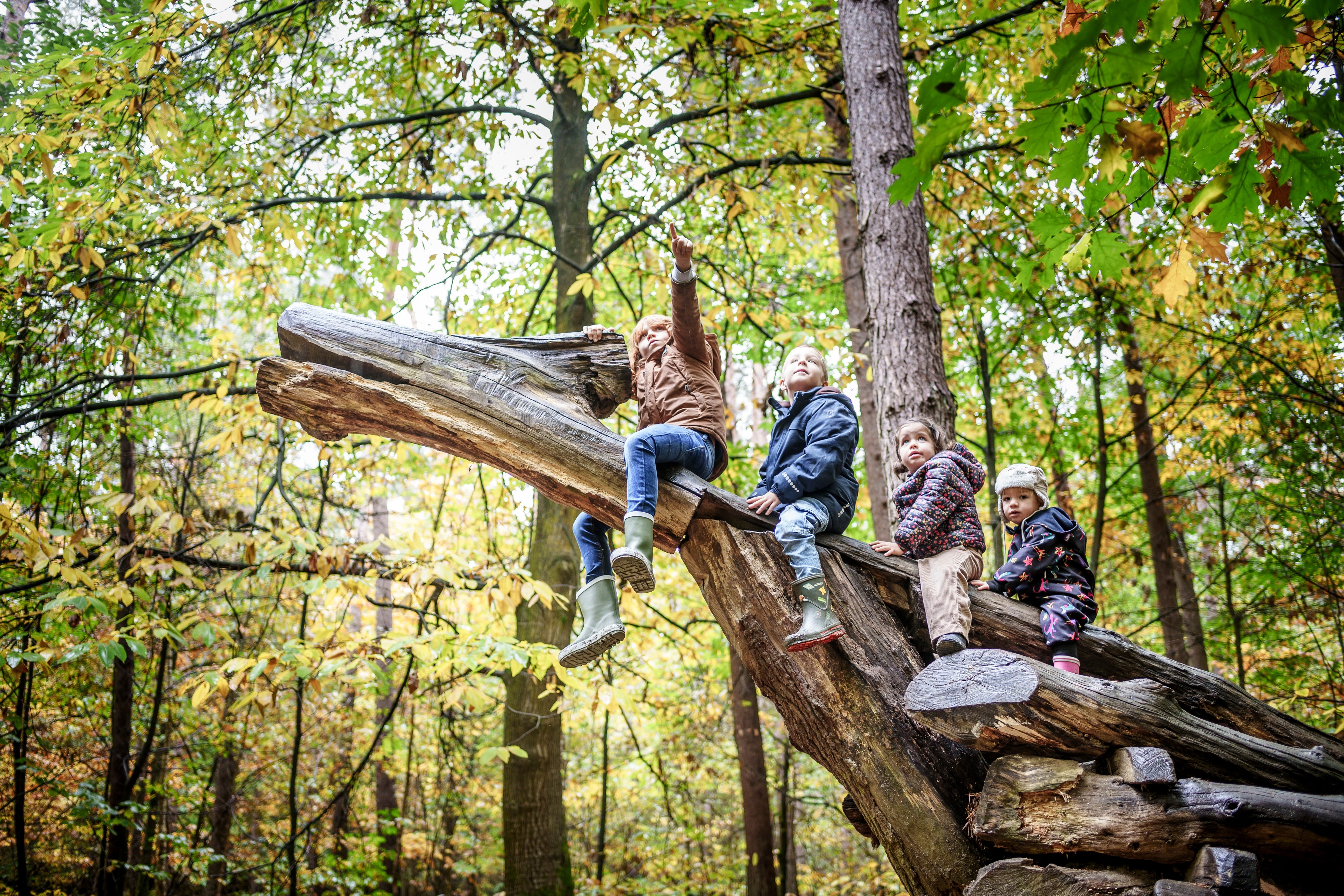 Speelbops Everzwijnbad