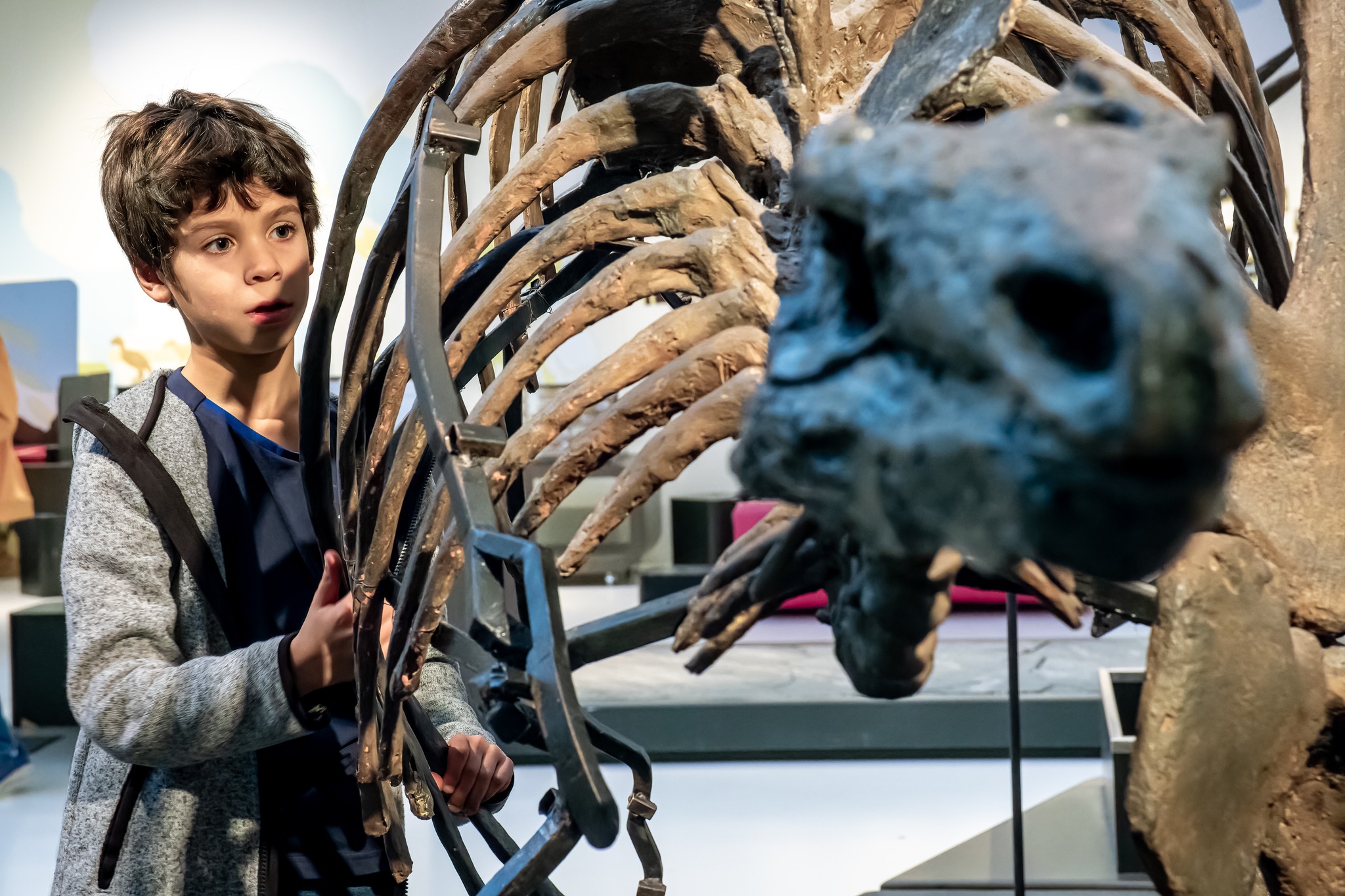 Museum Natuurwetenschappen Brussel