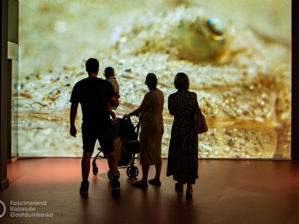 Navigo visserijmuseum Oostduinkerke