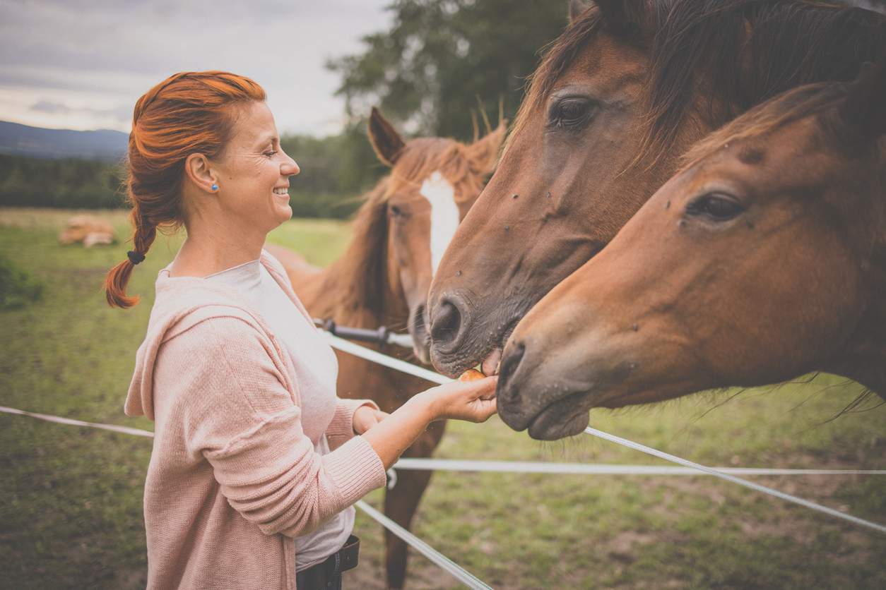 vrouw bij paarden