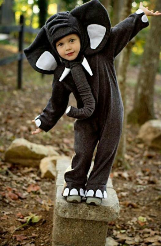 olifant