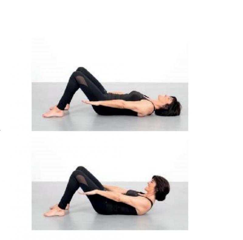 FitBody
