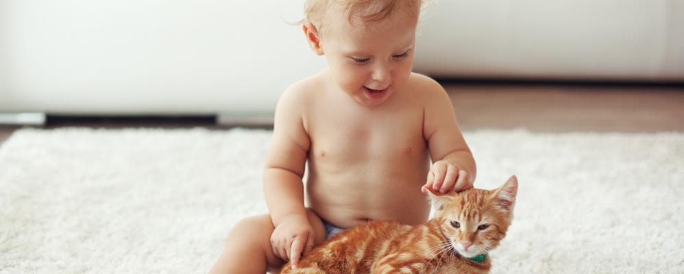 Potentieel Machtig Gemeenten Kat meets baby: tips voor een vlotte kennismaking | Mamabaas