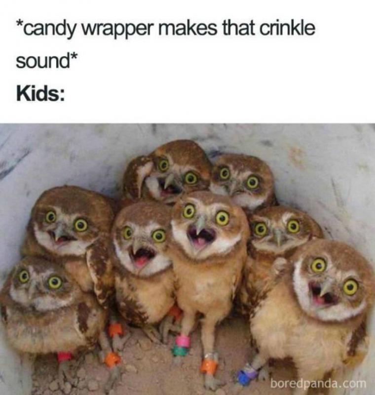 grapje 