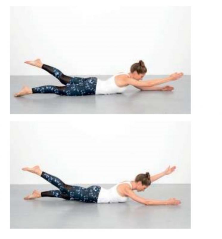 FitBody