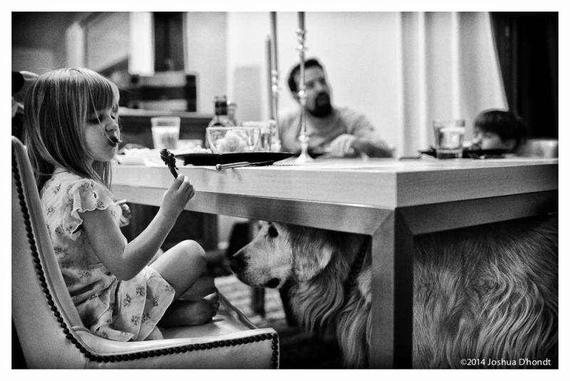 hond schooit eten bij meisje aan tafel