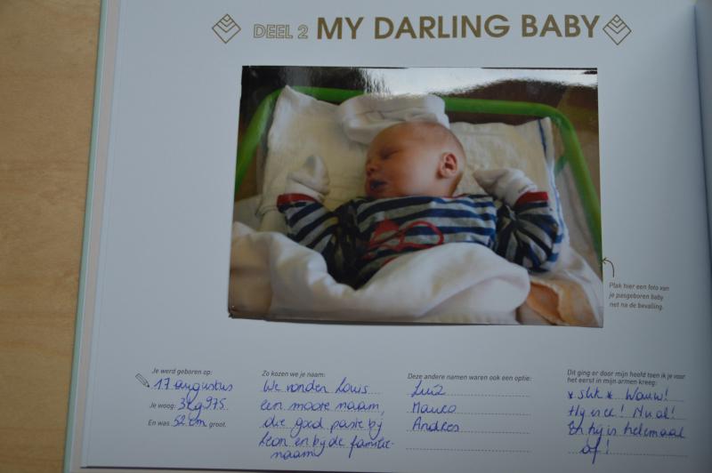 mijn babyfotoplakinvulboek 