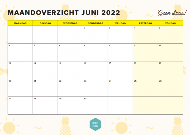 Examenplanner