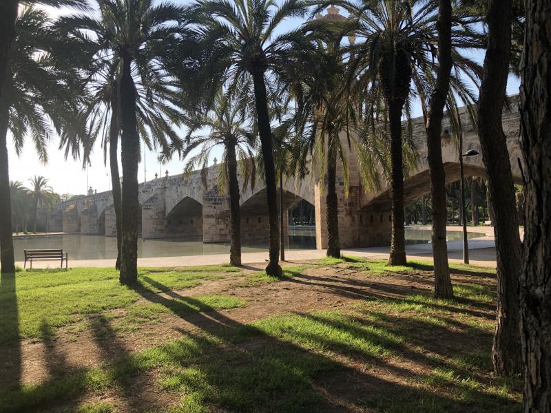 Turia