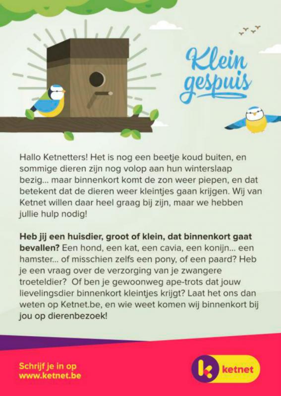 Flyer van Ketnet over nieuw programma Klein Gespuis