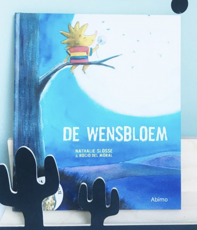 boek