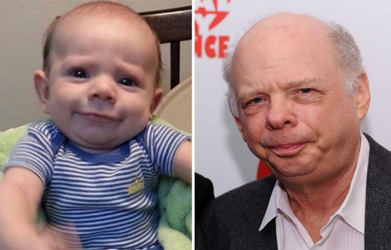 wallace shawn