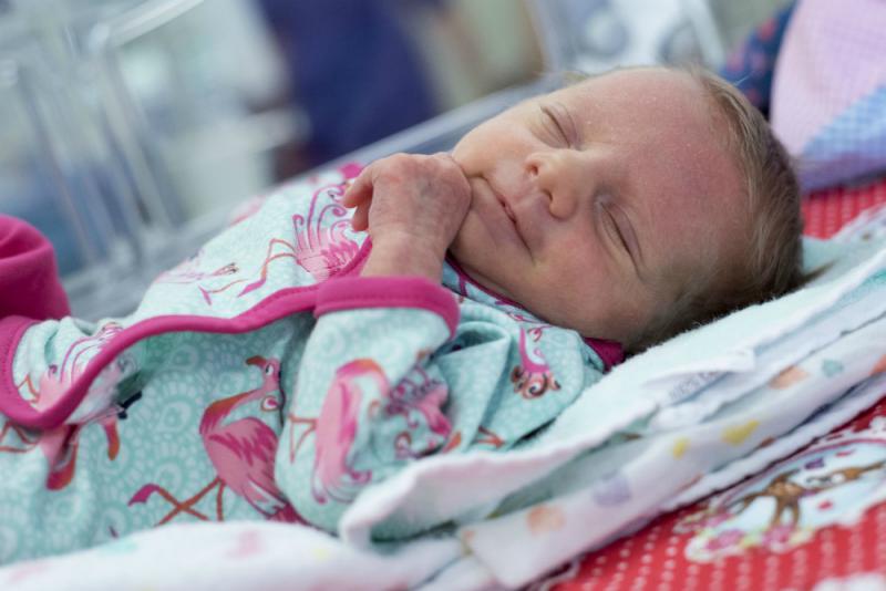 kleine held