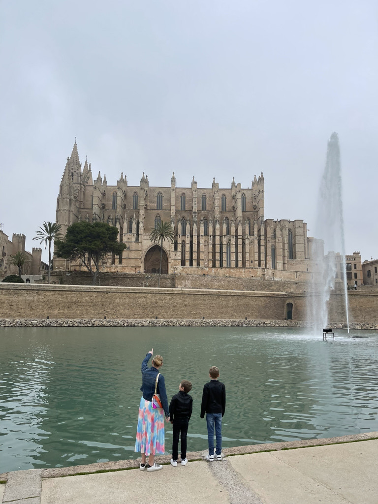 Palma