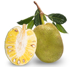 jackfruit