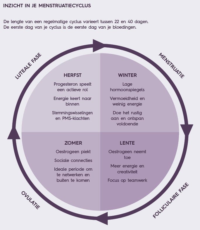 Vier seizoenen menstruatiecyclus uit het Cyclus Kompas