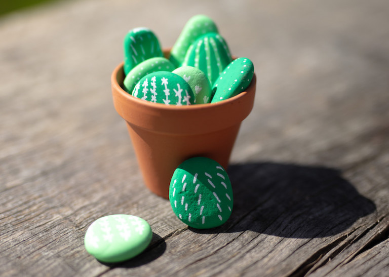 DIY cactus stenen schilderen