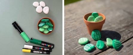 DIY cactus stenen schilderen