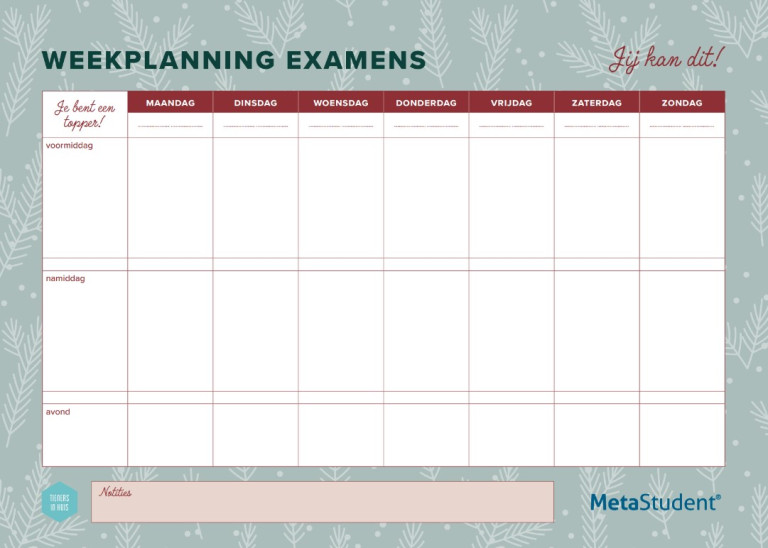 weekplanning examens