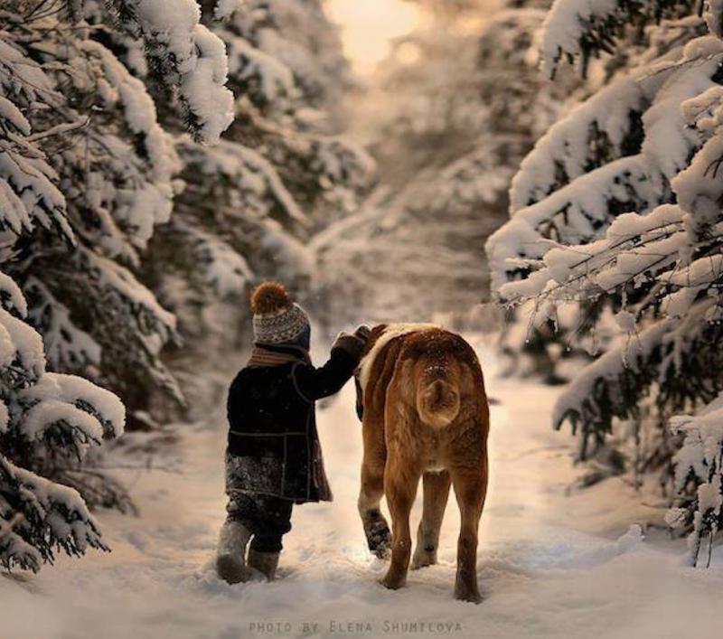 elena shumilova