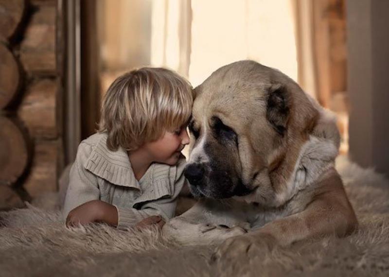 elena shumilova