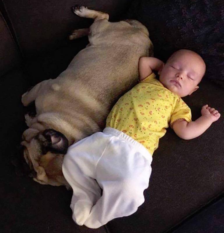 baby en hond in zetel