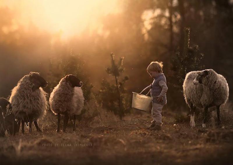 elena shumilova