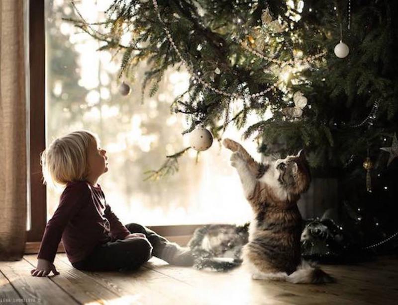 elena shumilova