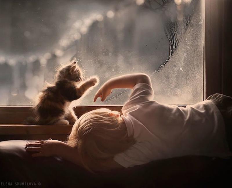elena shumilova