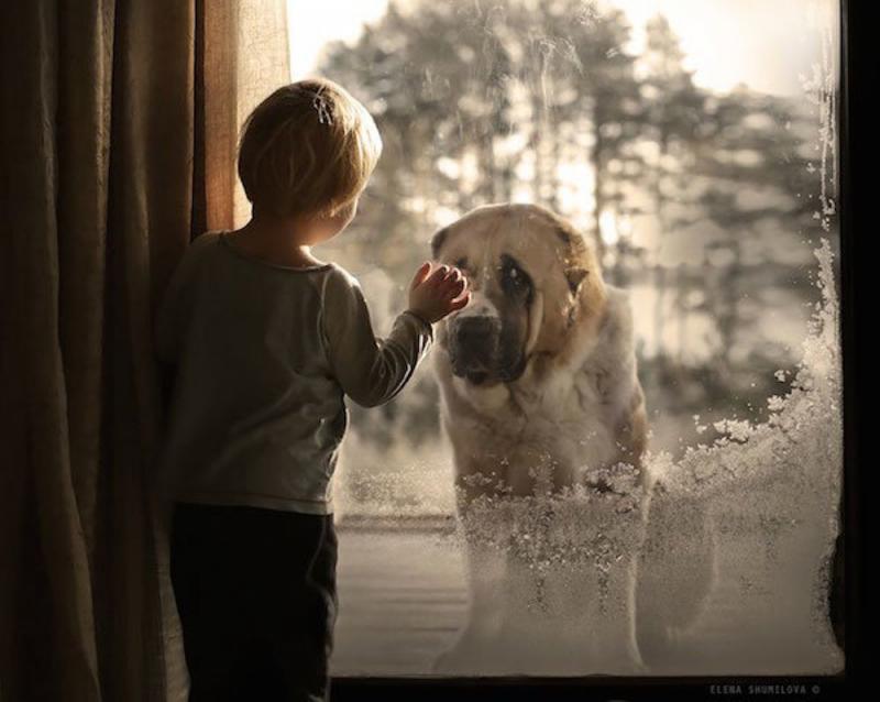 elena shumilova