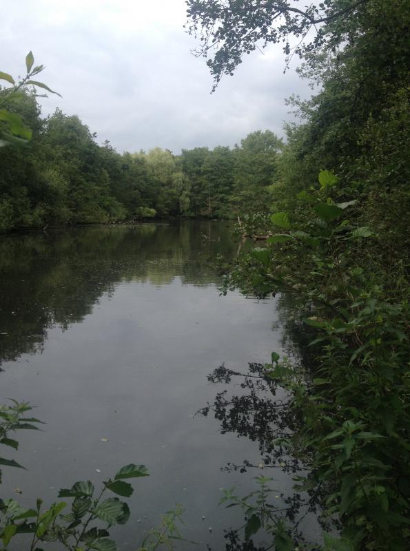 willebroek
