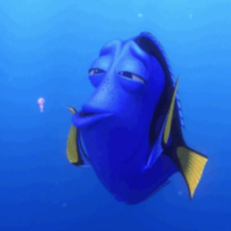 dory finding nemo