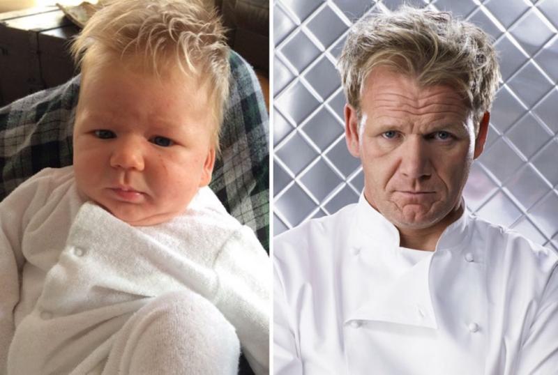 gordon ramsay 