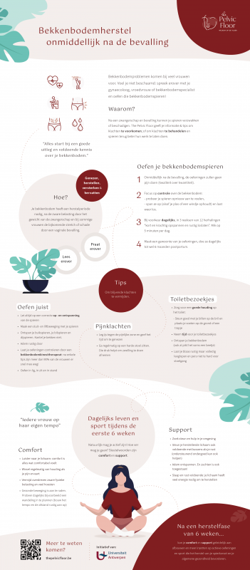 the pelvic floor