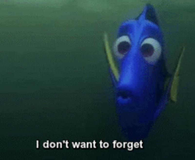 dory finding nemo