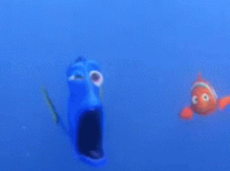 finding nemo dory