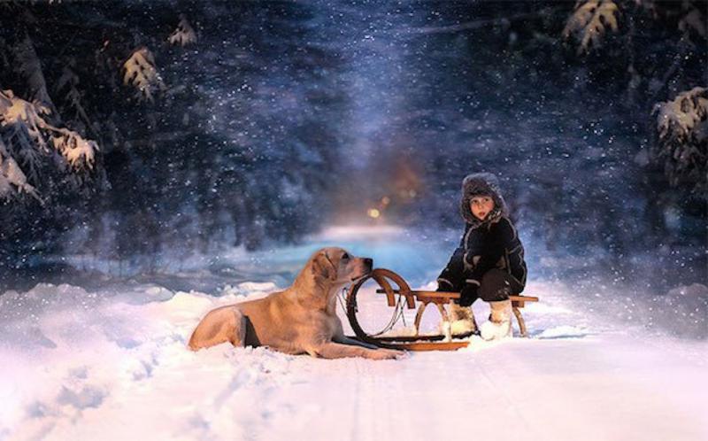 elena shumilova