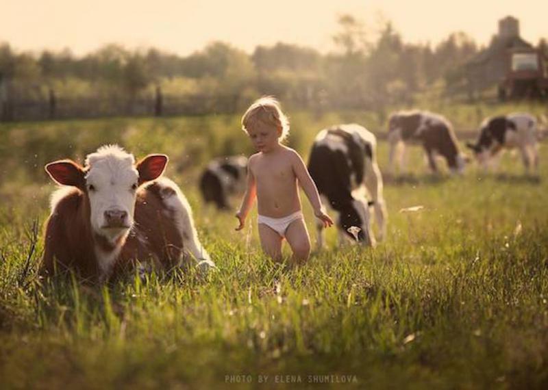 elena shumilova