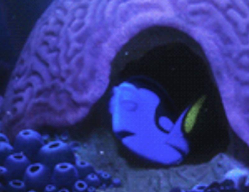 finding nemo dory