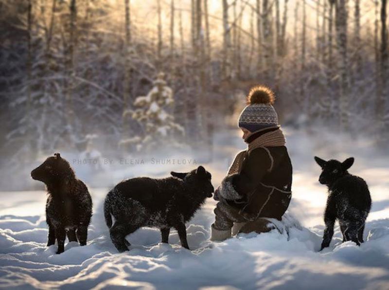 elena shumilova